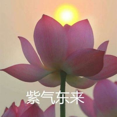 天空跑酷